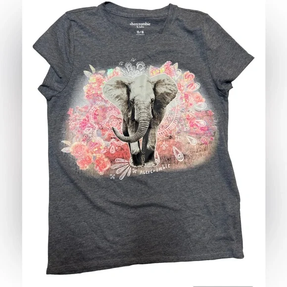ABERCROMBIE KIDS GRAY T SHIRT GIRLS SZ 15/16 GRAPHIC TEE - Picture 1 of 2